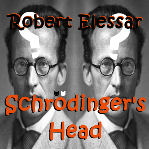 transformed s head cover no words2