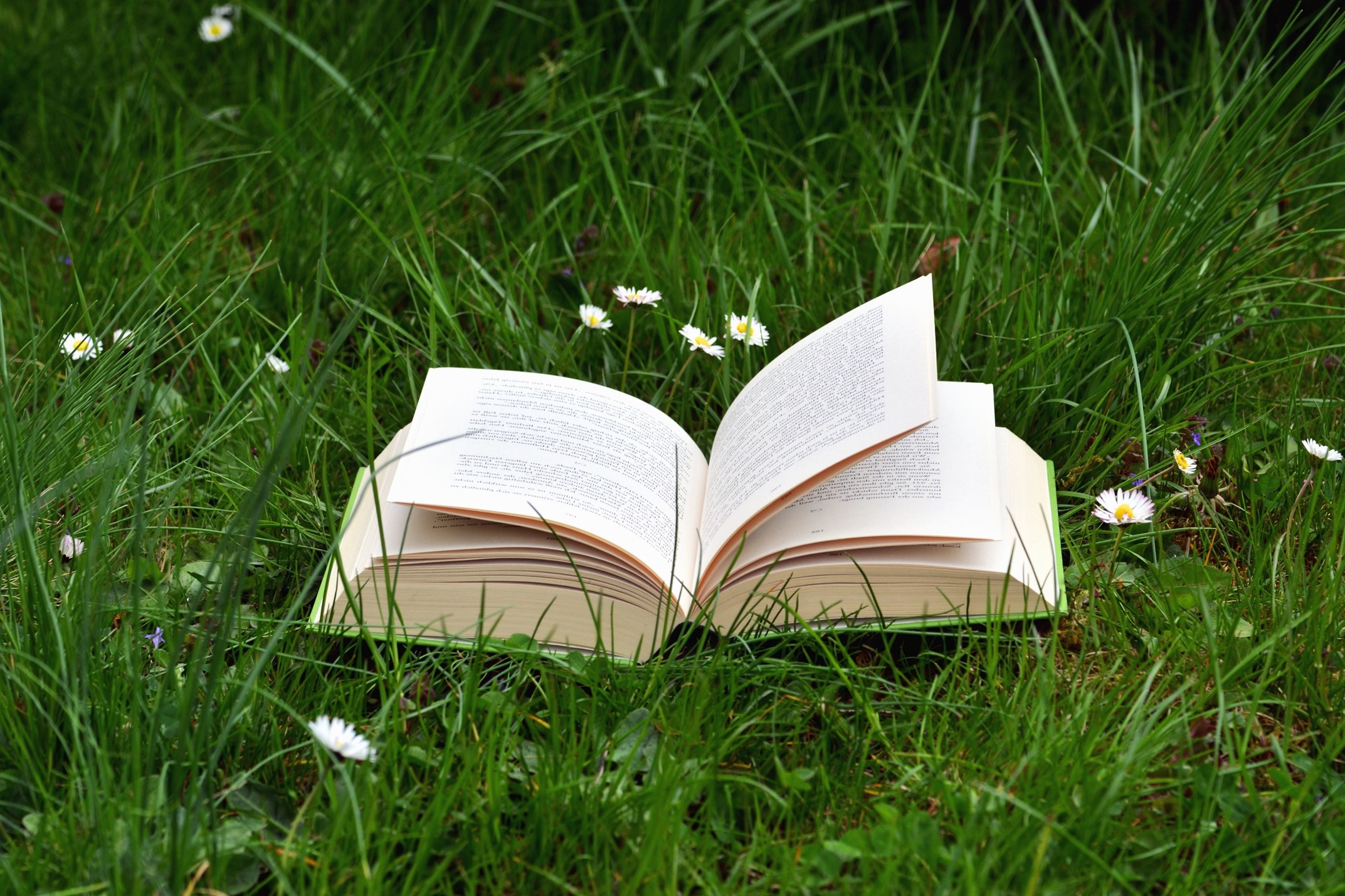 Book in the grass