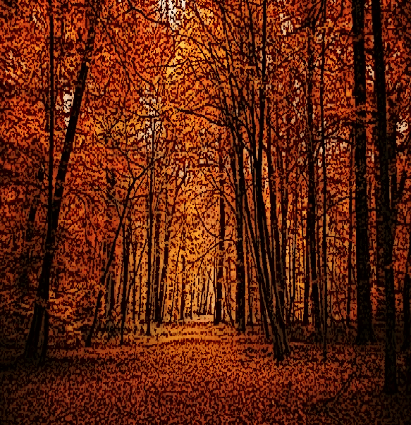 autumn woods adjusted