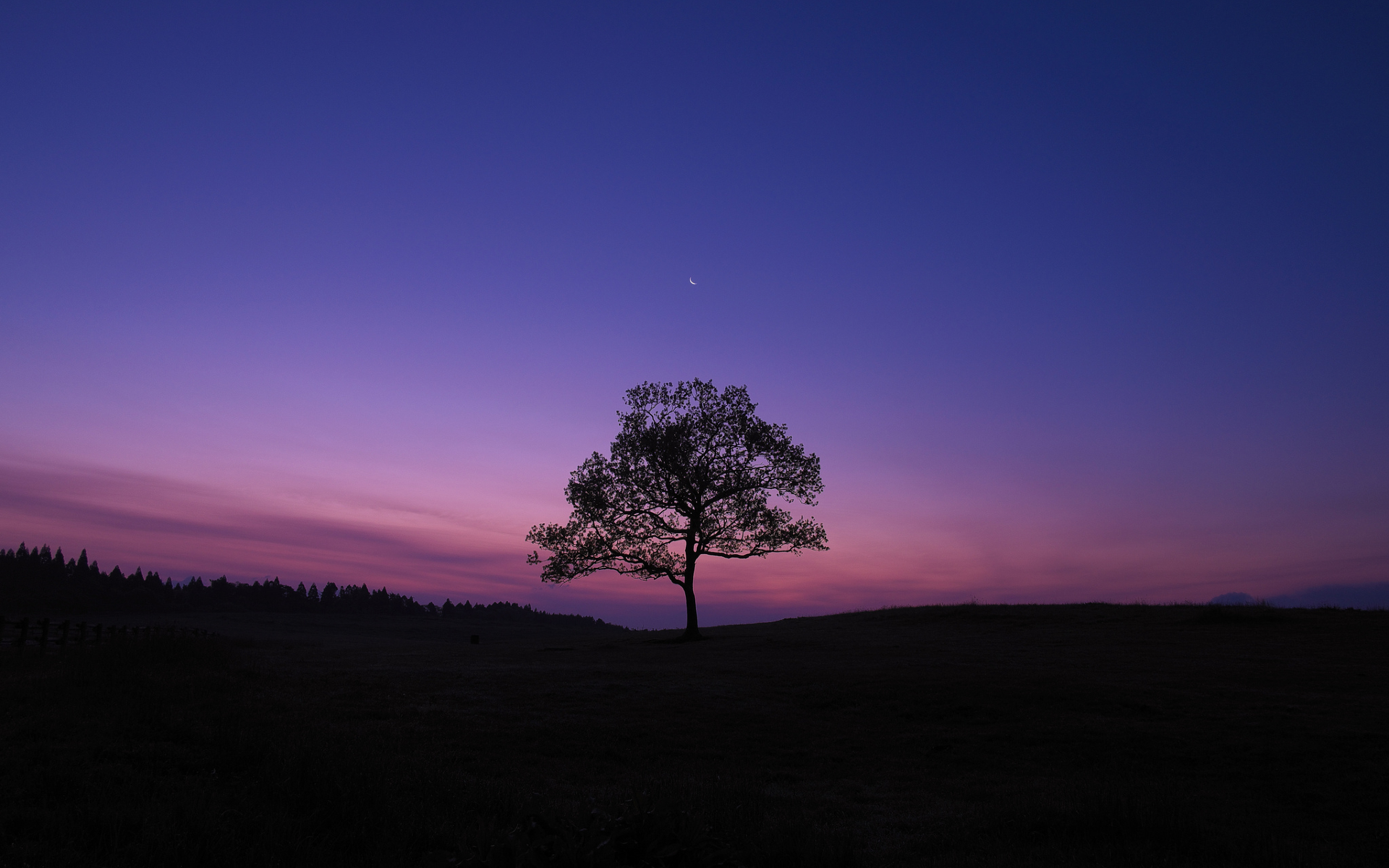 wallpapersden.com_dark-sky-tree-purple-sky-nature_1920x1200