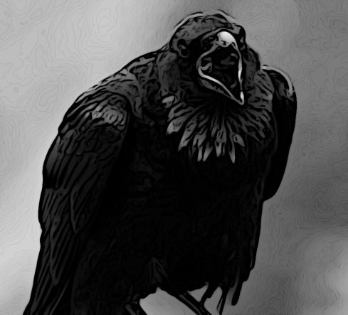 Raven