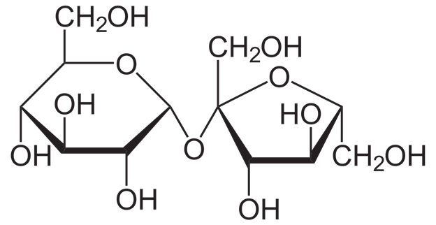 sucrose